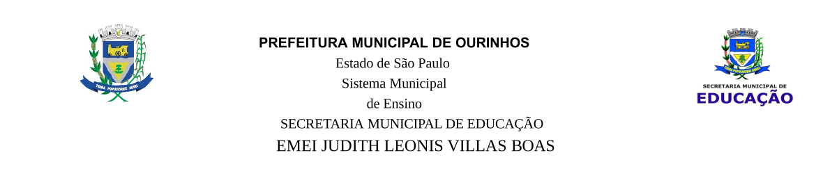 Logo EMEI JUDITH LEONIS VILLAS BOAS