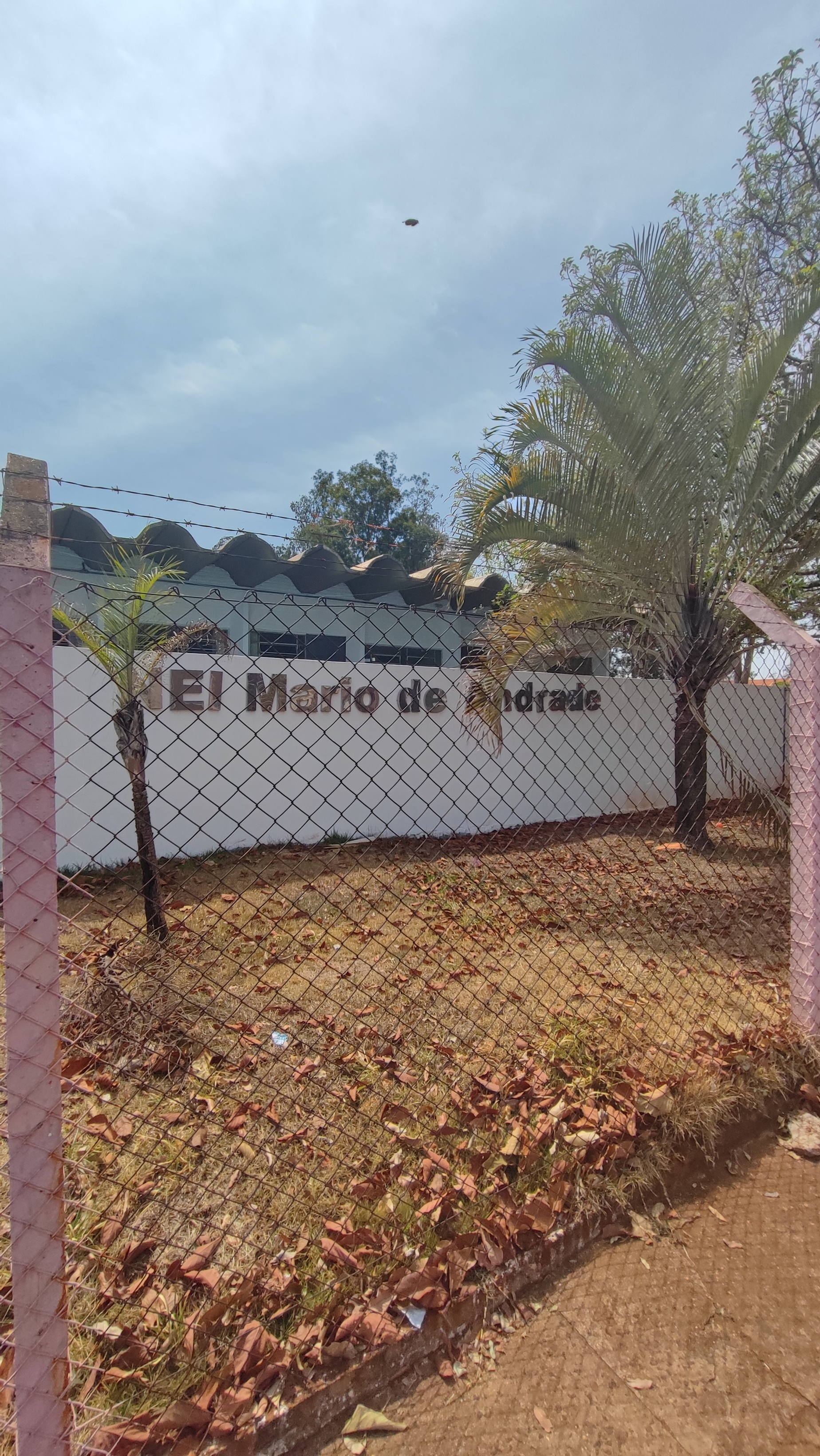 NEI MARIO DE ANDRADE